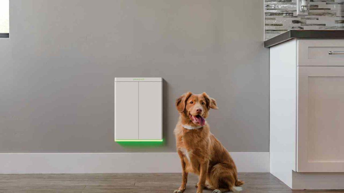 Evcil Hayvan Güvenliğini Üst Düzeye Taşıyan Yepyeni Bir Akıllı Kapı Tanıtıldı: Aklınız Evde Kalmayacak