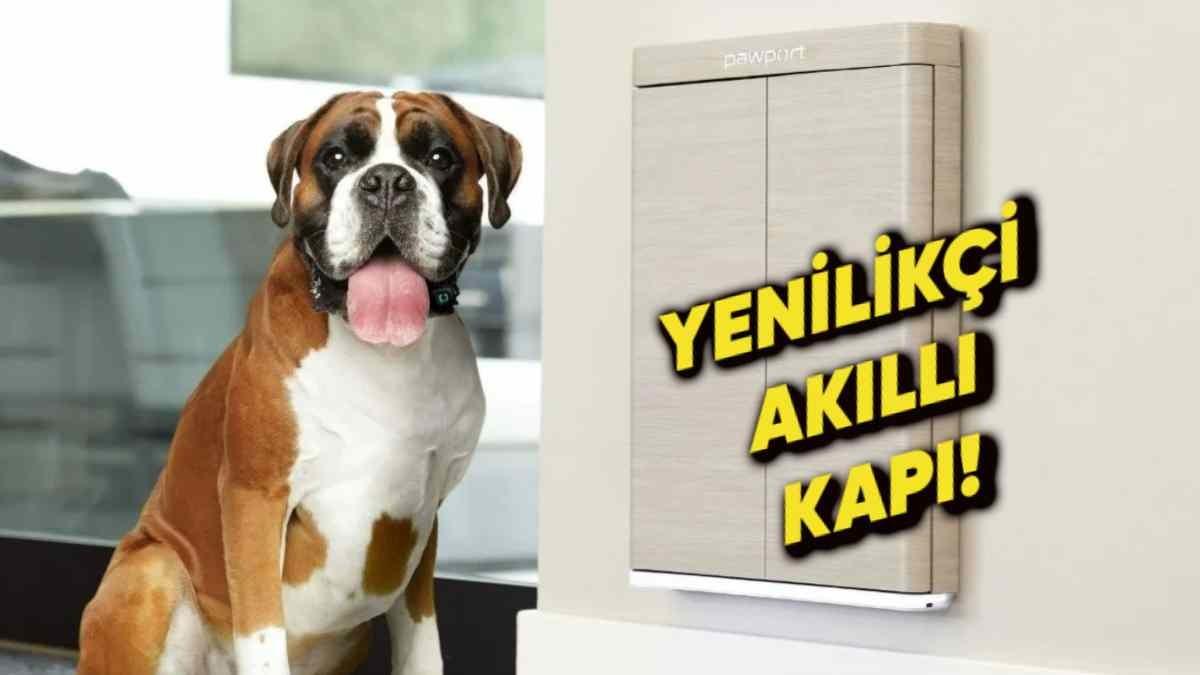 Evcil Hayvan Güvenliğini Üst Düzeye Taşıyan Yepyeni Bir Akıllı Kapı Tanıtıldı: Aklınız Evde Kalmayacak