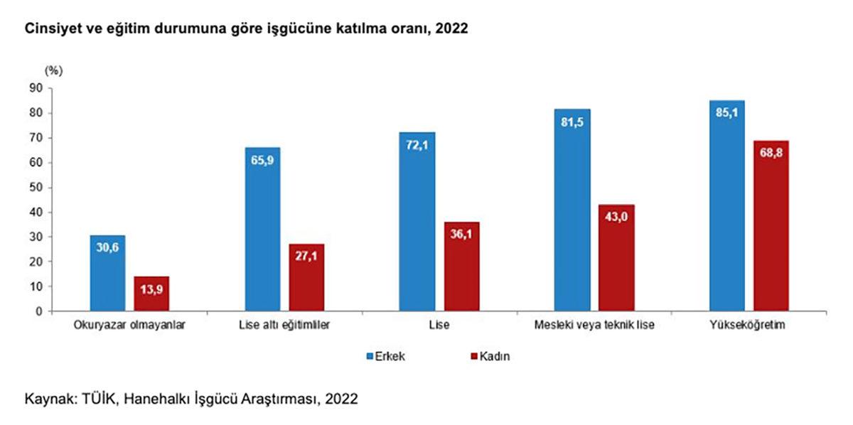 Türkiye’deki Ev Hanımlarının Tamamı İşe Başlasa Ekonomimiz Şaha Kalkar mıydı? İşte Rakamlarla Çarpıcı Veriler!