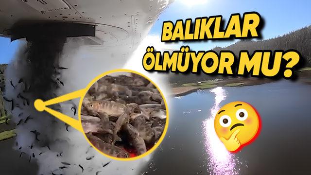Amerika’da Her Yıl Binlerce Balığın Uçakla Göllere Bırakılmasının  "Bunu da Düşünmüşler!" Diyeceğiniz Haklı Sebepleri