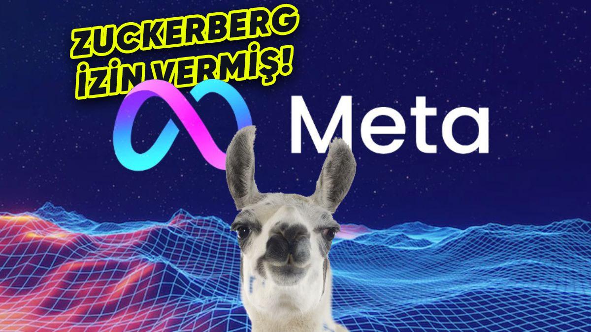 Meta Hakkında Skandal İddia: "Yapay Zekâyı Eğitmek İçin Korsan Kitap Sitesi Kullandı"