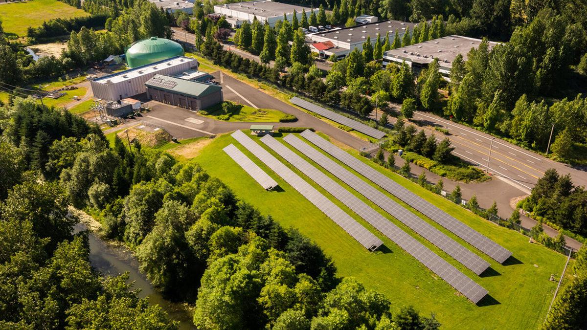 Amerika’da Büyük Bir İstisna: İçme Suyunda Herkes Florür Kullanırken Portland Neden Şiddetle Karşı Çıkıp Eklemiyor?