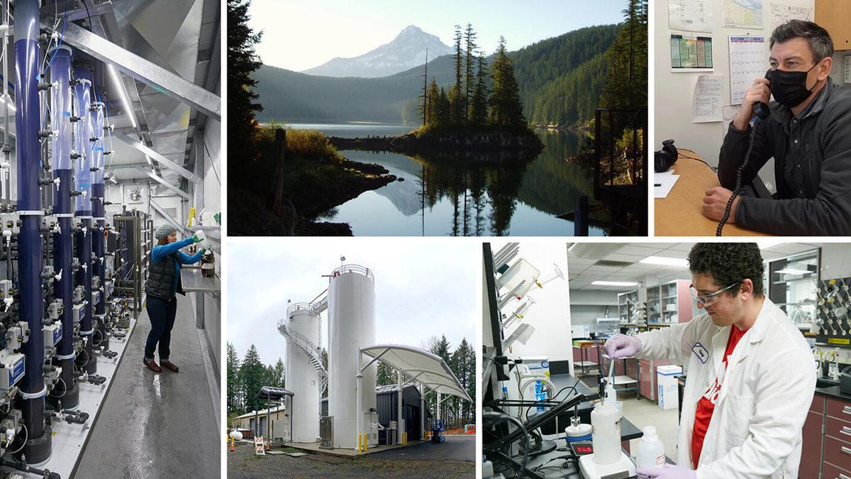 Amerika’da Büyük Bir İstisna: İçme Suyunda Herkes Florür Kullanırken Portland Neden Şiddetle Karşı Çıkıp Eklemiyor?