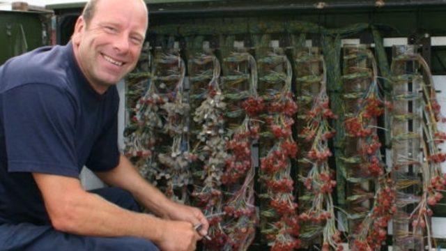 Telefon Hatları Değişiyor