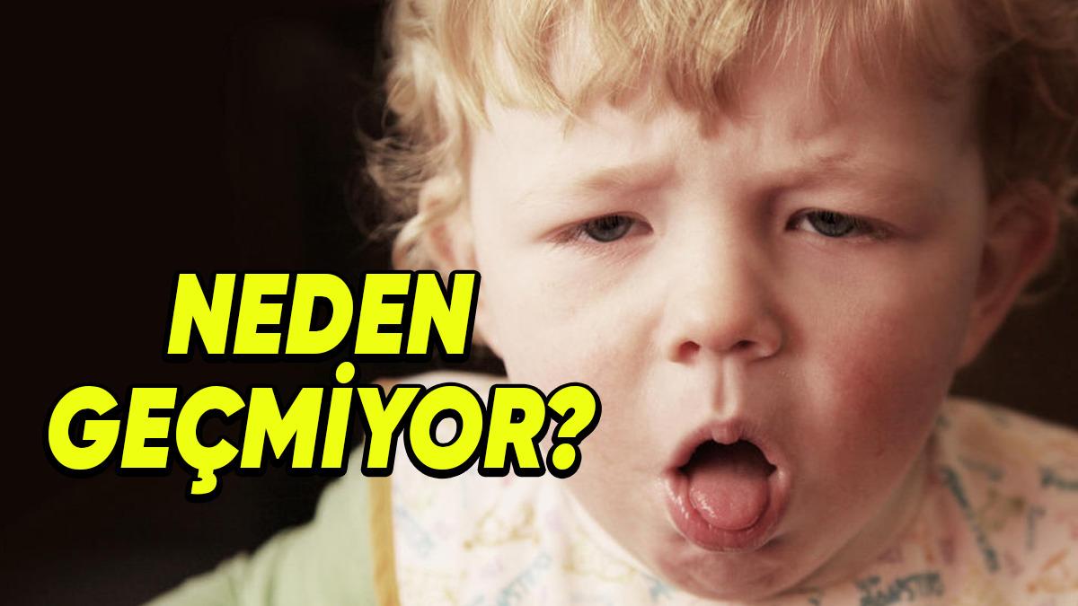 Artık İyileşmiş Olmamıza Rağmen Öksürük Neden Bir Türlü Geçmek Bilmiyor? (2 Hafta Süründürme Garantili!)