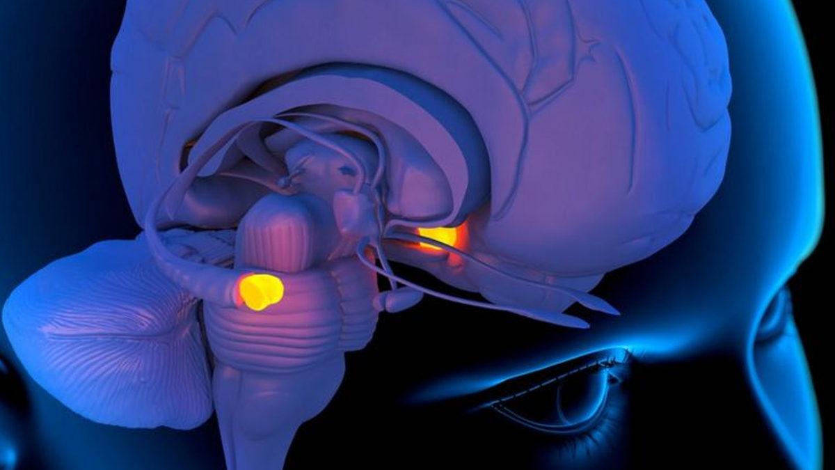 Korku Filmi İzler İzlemez Etkilenip Kâbus Görüyorsanız Bilimin Bu Duruma Bir Açıklaması Var!