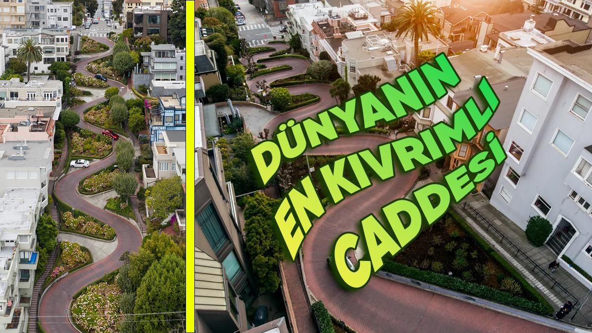 San Francisco’daki Bu Caddeyi Dümdüz Yapmak Varken Neden Böyle Kıvrımlı Hâle Getirdiler? Dâhiyane Bir Sebebi Var!