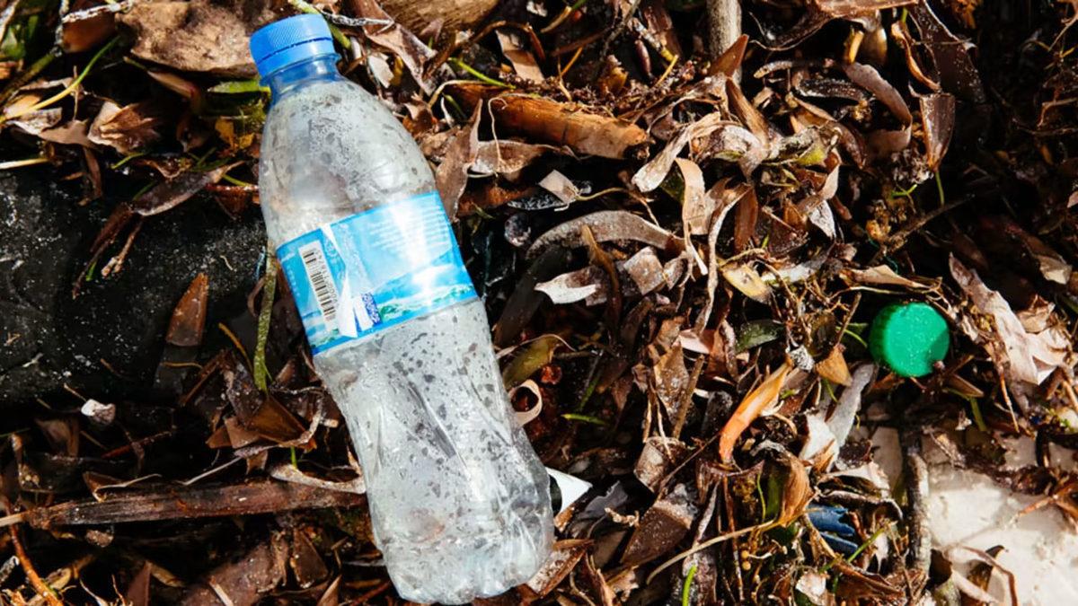 Bu İçeriği Okuduktan Sonra Plastik Şişeleri Tekrar Tekrar Kullanmak, Yapmak İsteyeceğiniz Son Şey Olacak