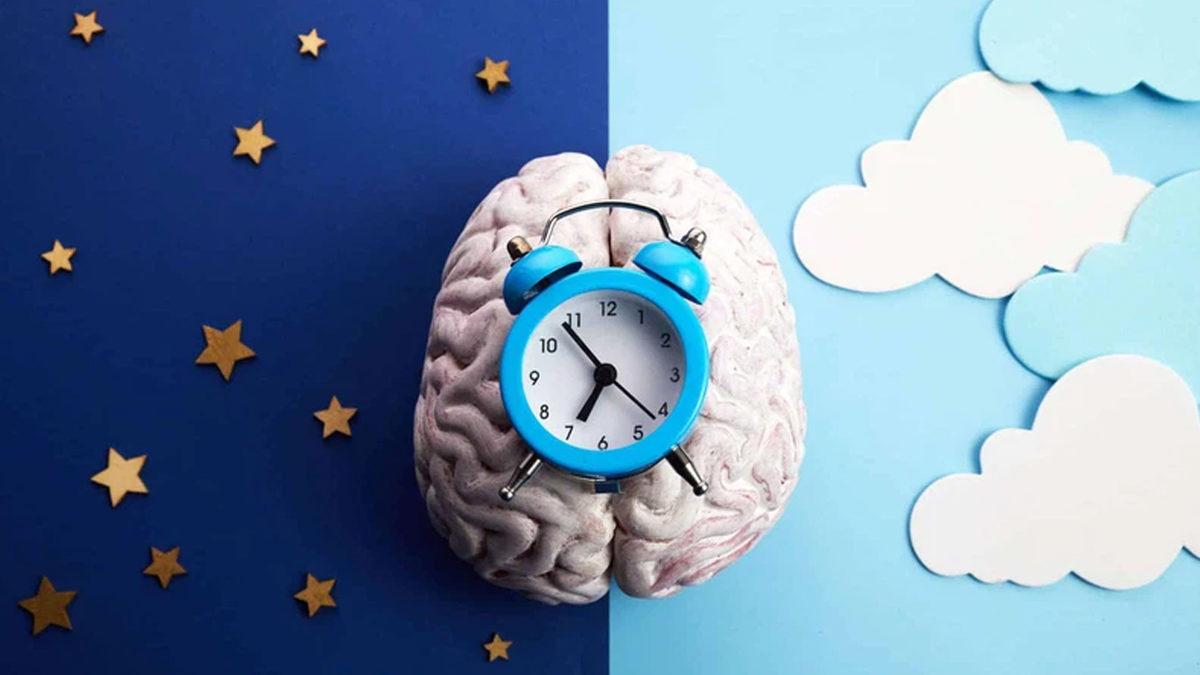 Tüm İnsanlar Aynı Anda Uyusaydı Dünya Nasıl Bir Yer Olurdu? Hiç de Fena Olmazmış!