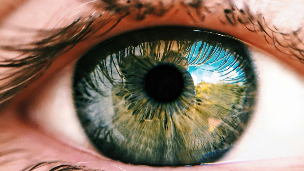 Uykuda Göz Bebeklerinin Büyüklüğü Nasıl Oluyor da Eski Anıların Yeniden Hatırlanmasına veya Yeni Anıların Tekrar Oynatılmasına Olanak Sağlıyor?