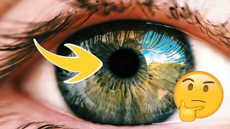 Uykuda Göz Bebeklerinin Büyüklüğü Nasıl Oluyor da Eski Anıların Yeniden Hatırlanmasına veya Yeni Anıların Tekrar Oynatılmasına Olanak Sağlıyor?