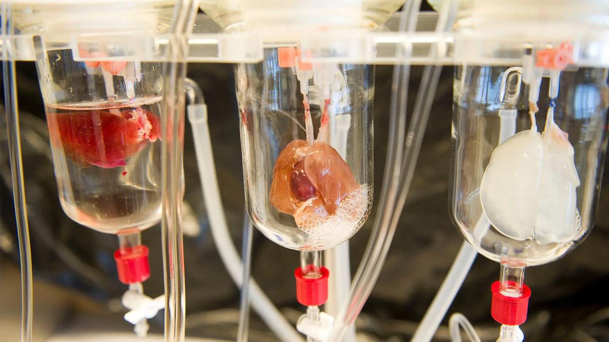 Bundan 5 Yıl Sonra Hangi Teknolojiler Günlük Rutinimiz Hâline Gelecek?