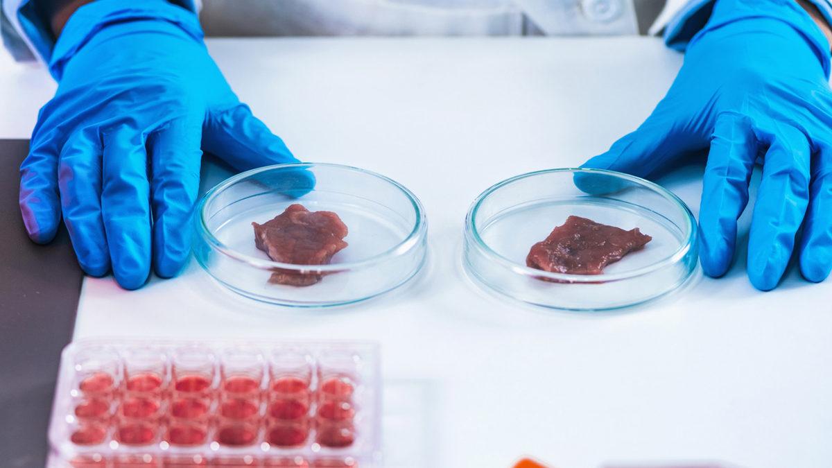 Bundan 5 Yıl Sonra Hangi Teknolojiler Günlük Rutinimiz Hâline Gelecek?