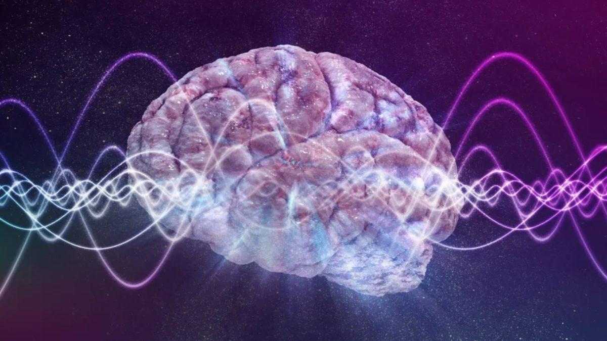 Bilime Göre Ölen Bir İnsanın Beynindeki Anıları Geri Getirmek Mümkün! Peki Bu Nasıl Olacak?