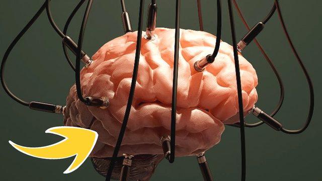 Bilime Göre Ölen Bir İnsanın Beynindeki Anıları Geri Getirmek Mümkün! Peki Bu Nasıl Olacak?