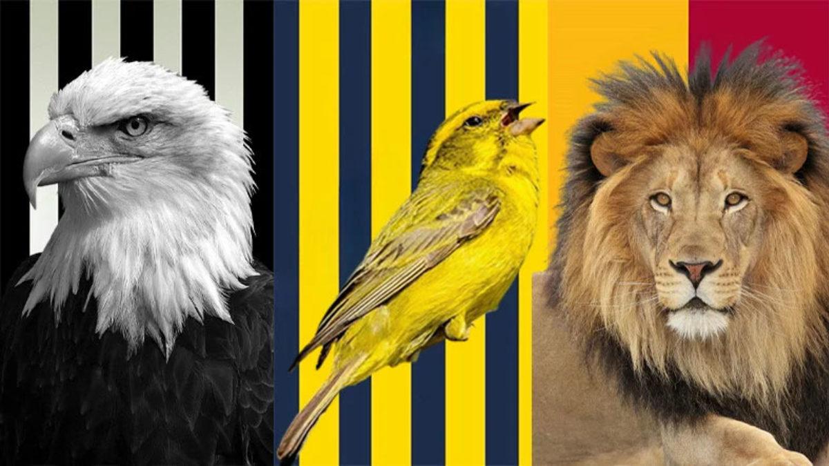 Spor Kulüplerinde Maskot Olarak Neden Hep Hayvan Görüyoruz? Bakın Üç Büyüklerin Simgesi Nasıl Ortaya Çıkmış!