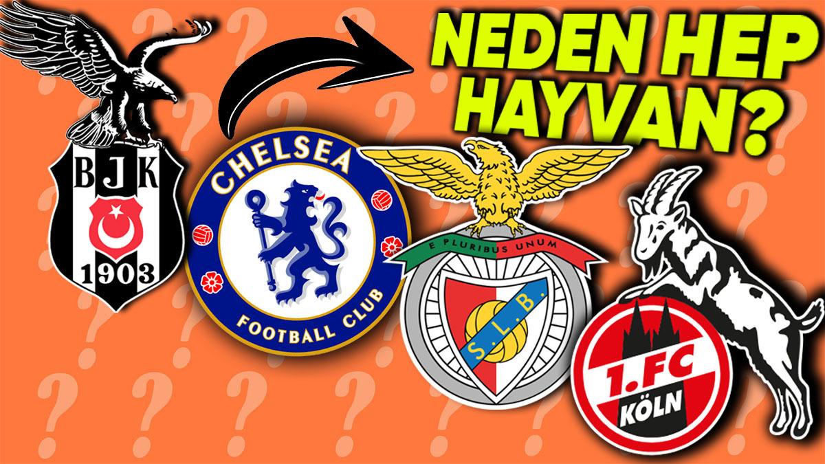 Spor Kulüplerinde Maskot Olarak Neden Hep Hayvan Görüyoruz? Bakın Üç Büyüklerin Simgesi Nasıl Ortaya Çıkmış!