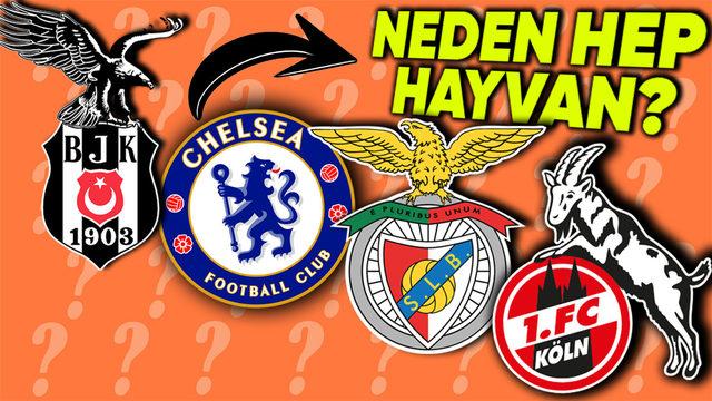 Spor Kulüplerinde Maskot Olarak Neden Hep Hayvan Görüyoruz? Bakın Üç Büyüklerin Simgesi Nasıl Ortaya Çıkmış!