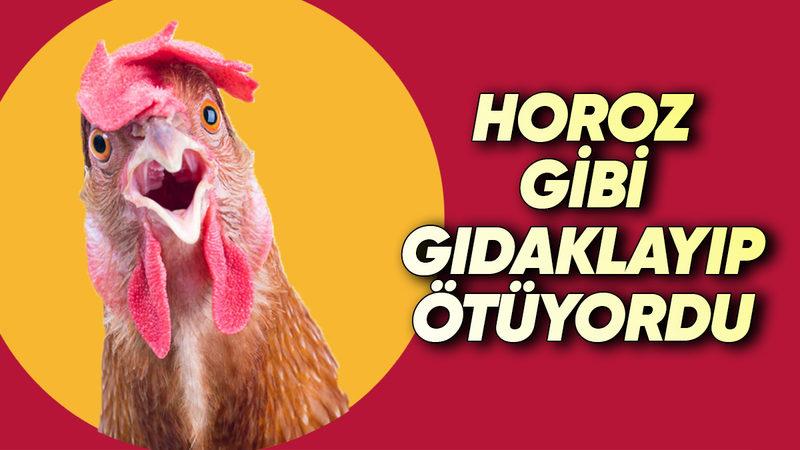 Kendini Tavuk Sanan Kadının Akla Hayale Sığmayacak Hastalığı! Bir İnsan Neden Kendini Hayvan Gibi Hisseder?