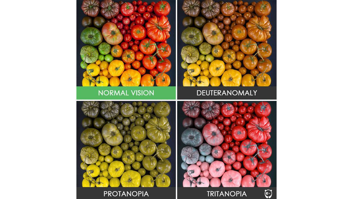 Renk Körlüğü ve Yemek Tercihleri Arasındaki İlginç Bağlantı: İşte Yapılan Çalışma ve Sonuçları