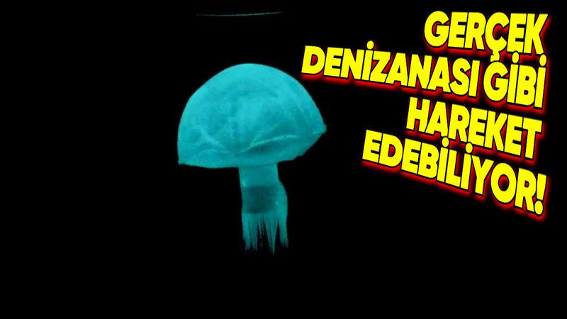 Hidrolik Sıvıdan Güç Alan Robot Denizanası ve Solucan Geliştirildi