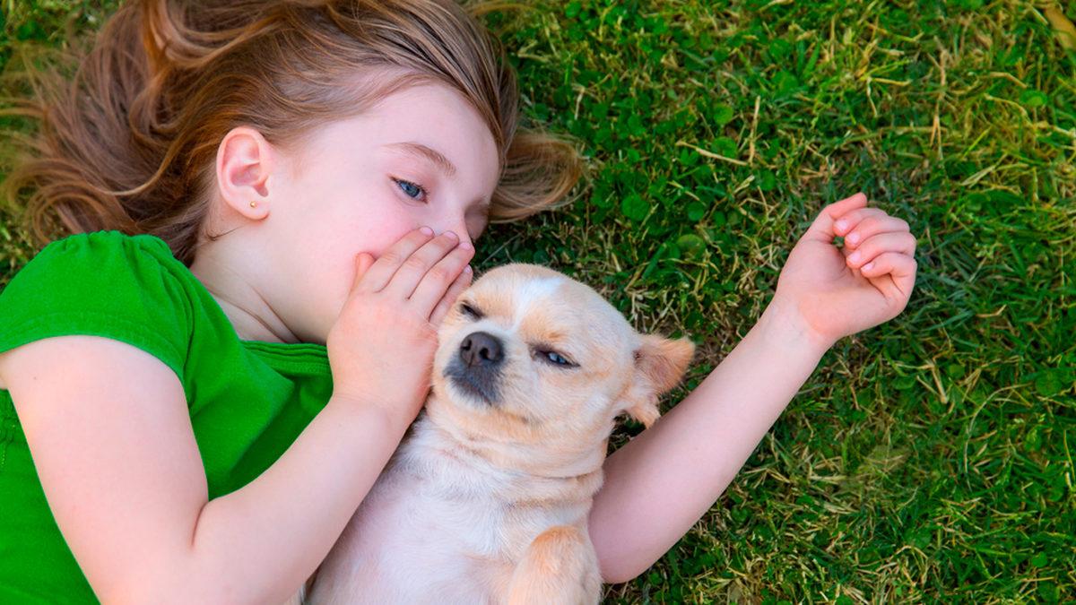 Yakında Hayvanlarla Konuşmamız Mümkün mü? Yapay Zekâ Bunu da Çözebilir!