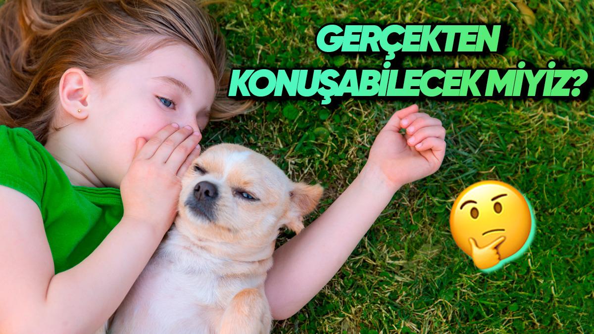 Yakında Hayvanlarla Konuşmamız Mümkün mü? Yapay Zekâ Bunu da Çözebilir!