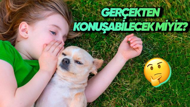 Yakında Hayvanlarla Konuşmamız Mümkün mü? Yapay Zekâ Bunu da Çözebilir!