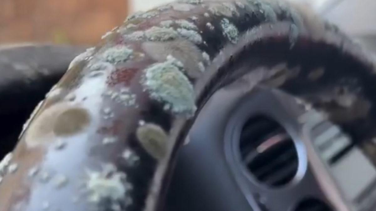 2 Ay Branda Altında Kalan Otomobil Küflendi: Peki Neden, Bizim Başımıza da Gelir mi? [Video]