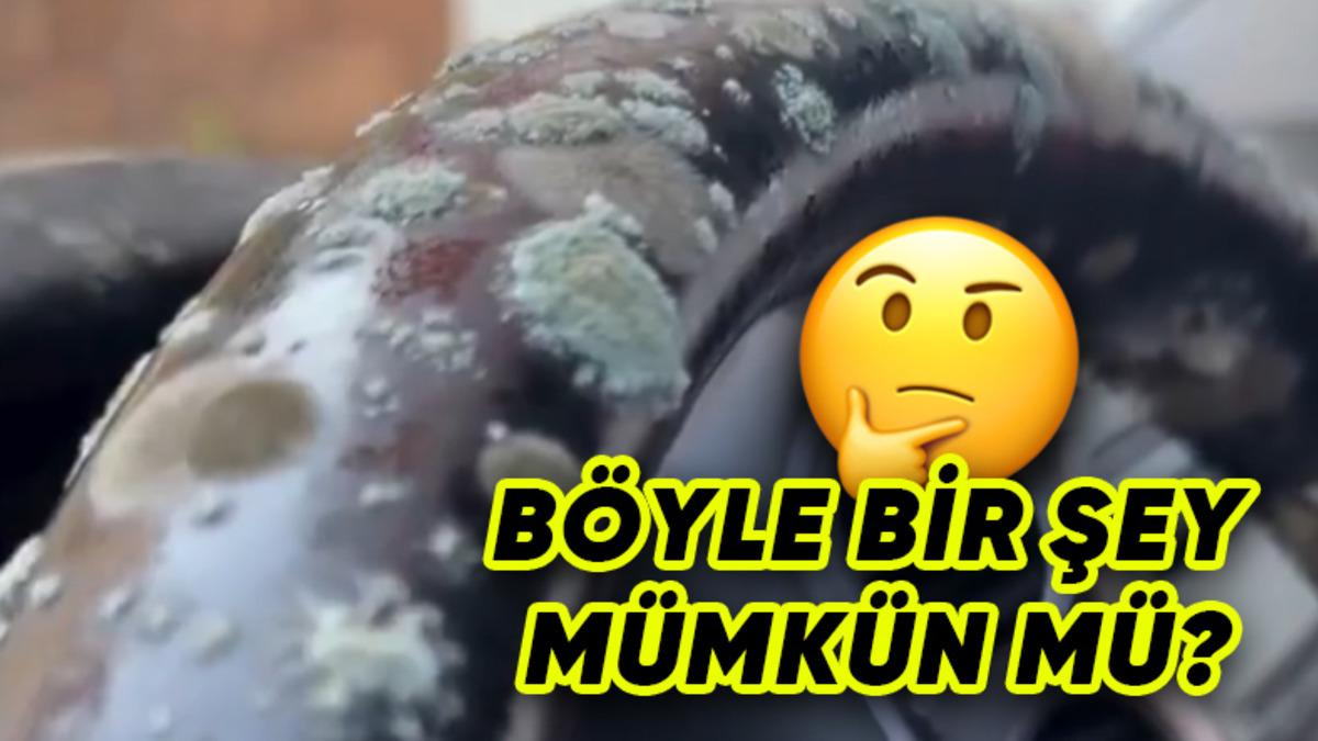 2 Ay Branda Altında Kalan Otomobil Küflendi: Peki Neden, Bizim Başımıza da Gelir mi? [Video]