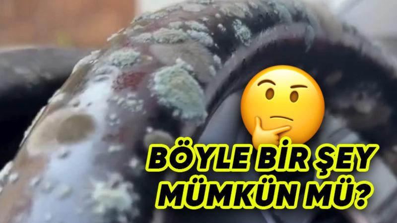2 Ay Branda Altında Kalan Otomobil Küflendi: Peki Neden, Bizim Başımıza da Gelir mi? [Video]