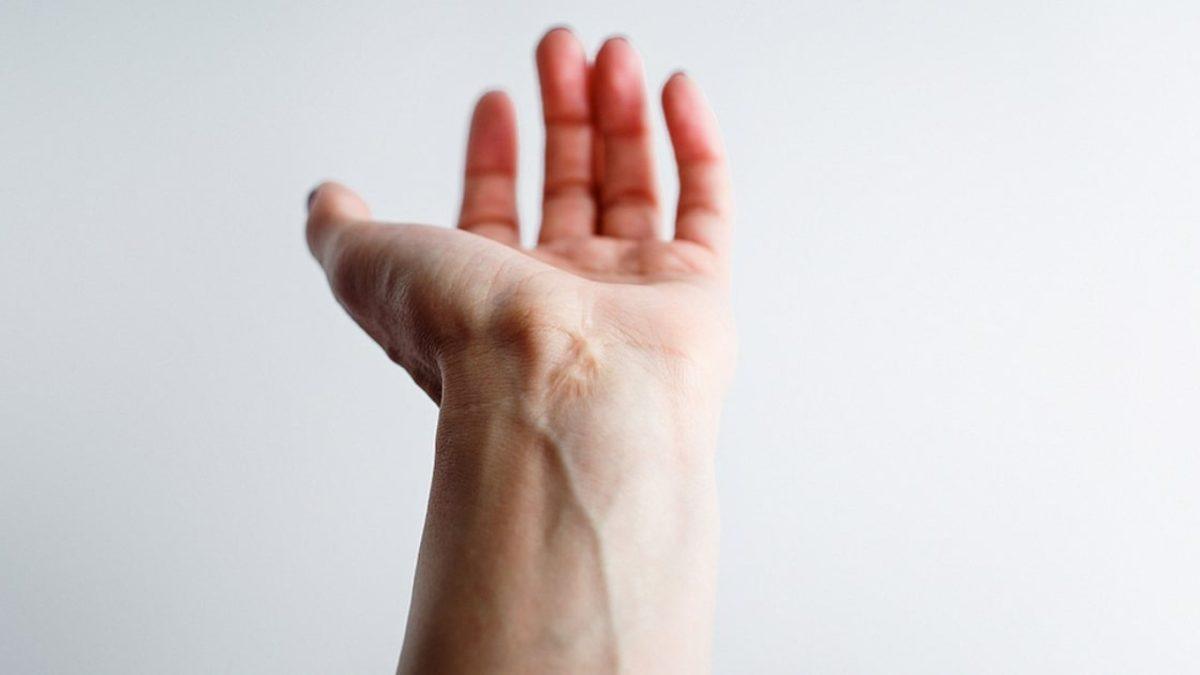 Her 10 İnsandan 3’ünün Kollarında Fazladan Bir Atardamarın Gelişmesinin Tuhaf Nedeni: Peki Bu İyi Bir Haber mi?