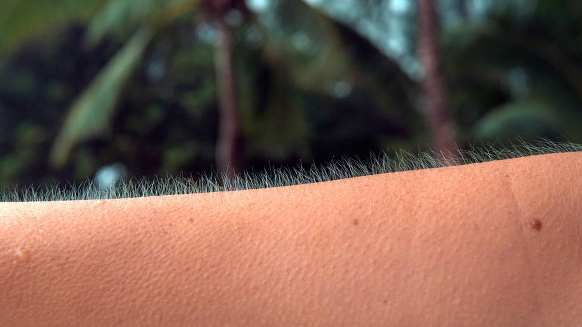 Bilmeden Yaşıyoruz: İşte Adını Bile Duymadığımız, Vücudumuzun 20 Gizemli Yeri