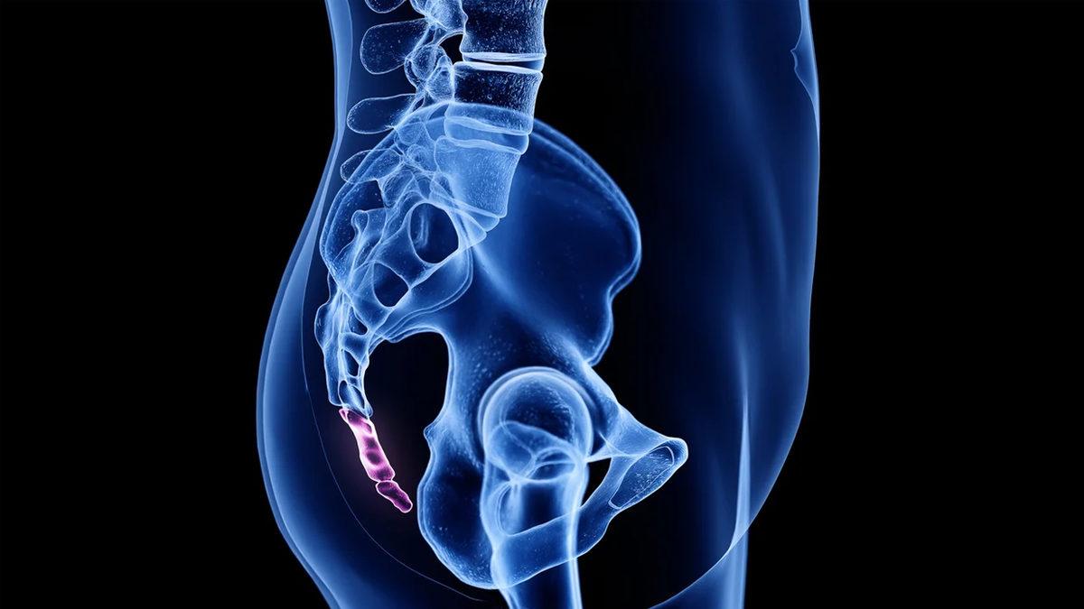 Bilmeden Yaşıyoruz: İşte Adını Bile Duymadığımız, Vücudumuzun 20 Gizemli Yeri