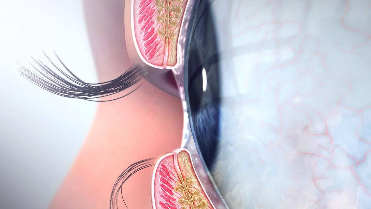 Bilmeden Yaşıyoruz: İşte Adını Bile Duymadığımız, Vücudumuzun 20 Gizemli Yeri