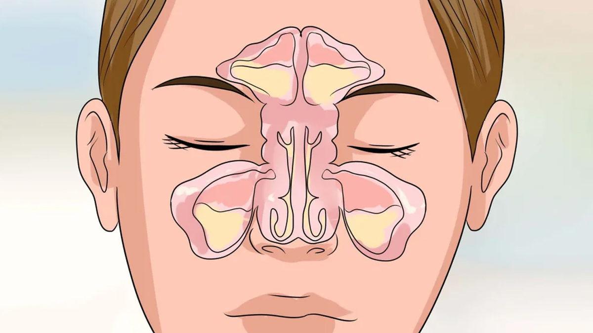 Bilmeden Yaşıyoruz: İşte Adını Bile Duymadığımız, Vücudumuzun 20 Gizemli Yeri