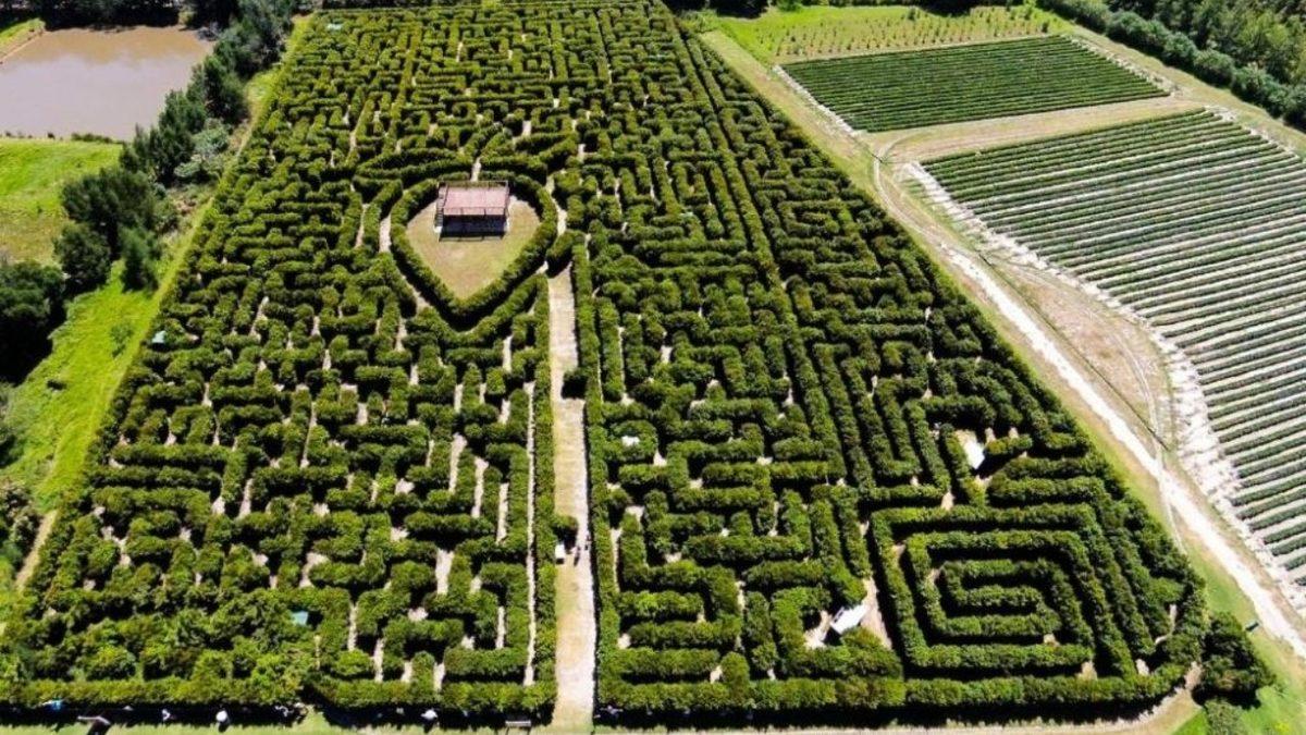 Harikulade Mimarisi İle Yön Bulmada Usta Olanların Bile Başını Döndürecek Dünyanın En Ünlü 8 Labirenti