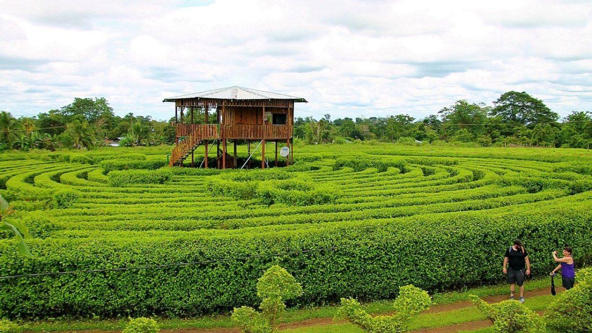 Harikulade Mimarisi İle Yön Bulmada Usta Olanların Bile Başını Döndürecek Dünyanın En Ünlü 8 Labirenti