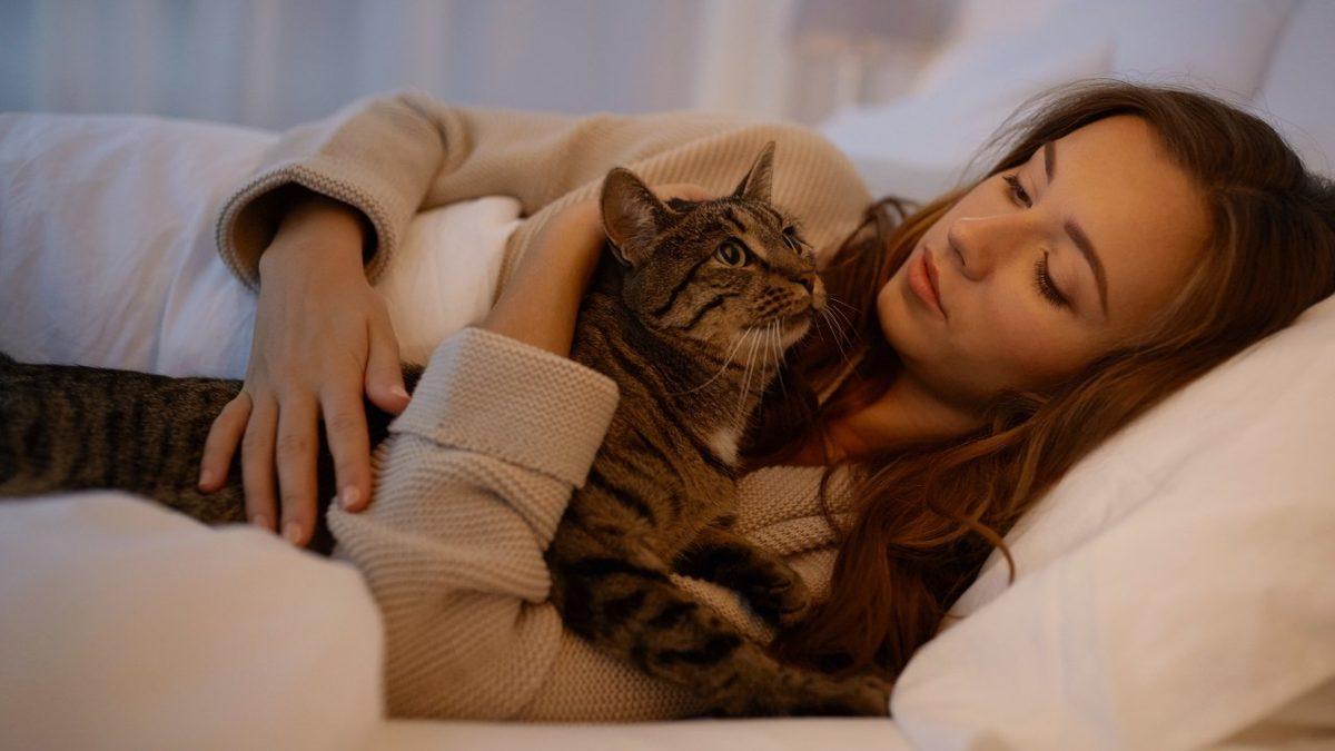 Kediniz Gecenin Bir Yarısı Birdenbire Miyavlamaya Başlıyorsa Yalnız Değilsiniz! Peki Bunu Neden Yapıyorlar?