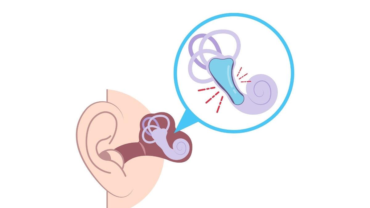 Biz Bir Kere Dönsek Dengemizi Kaybediyoruz! Peki Balerin ve Buz Patenciler Fırıl Fırıl Dönerken Nasıl Başları Dönmüyor?