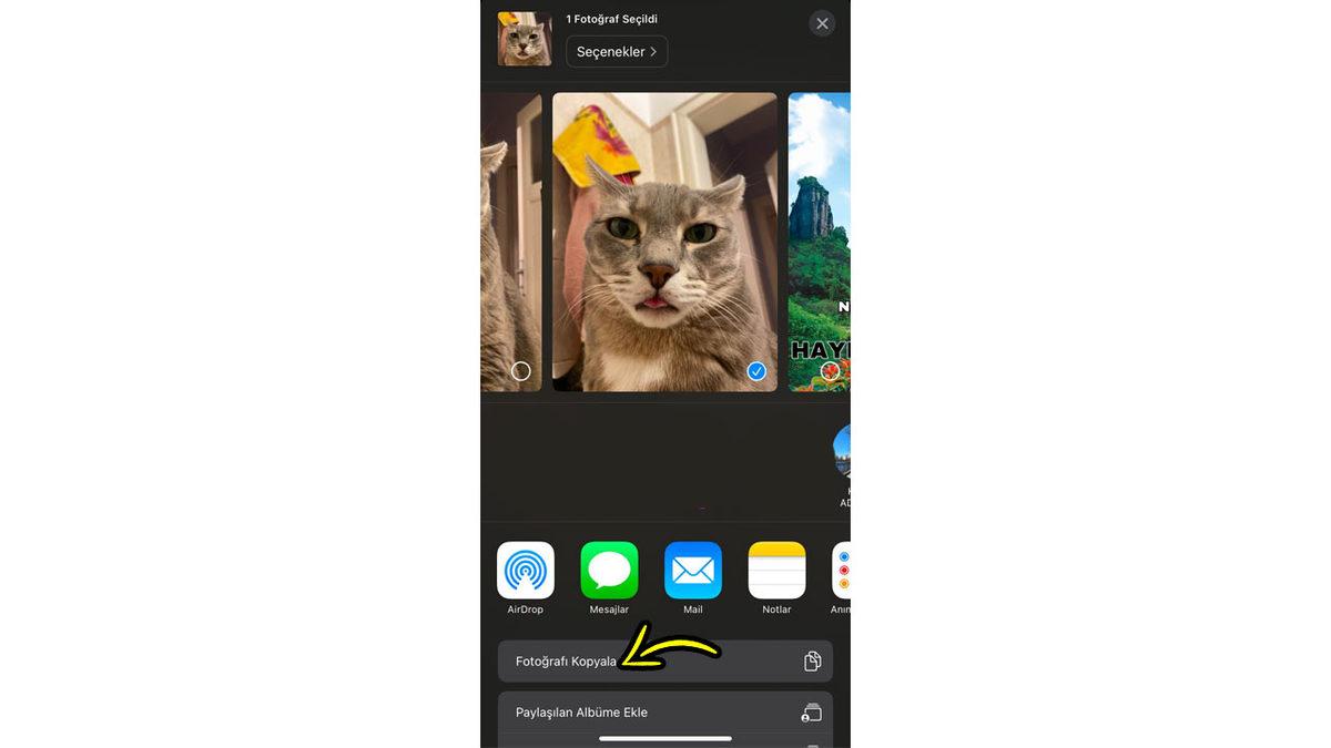 iPhone’larda Fotoğrafları Gizli Klasörü Kullanmadan 5 Saniyede Gizleme Taktiğini Anlatıyoruz!