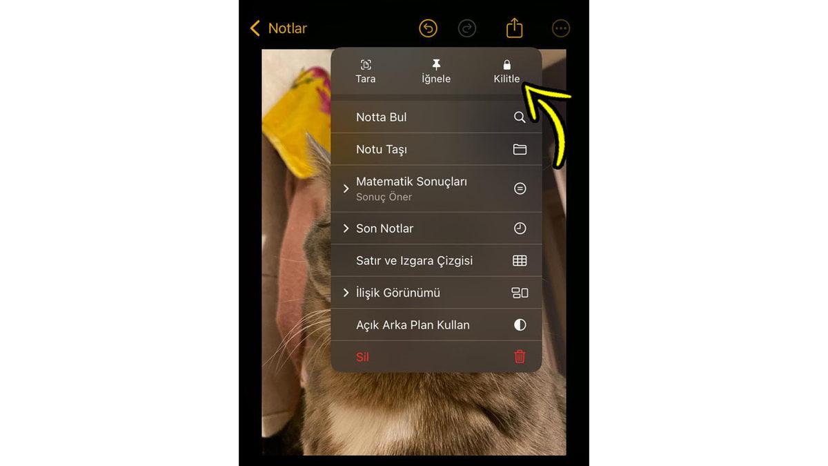 iPhone’larda Fotoğrafları Gizli Klasörü Kullanmadan 5 Saniyede Gizleme Taktiğini Anlatıyoruz!