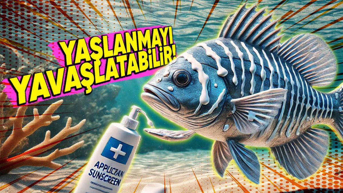 Kendi ’Güneş Kremini’ Üreten Balık: İnsanlar ve Doğa İçin Gelişmelerinin Önünü Açabilir!