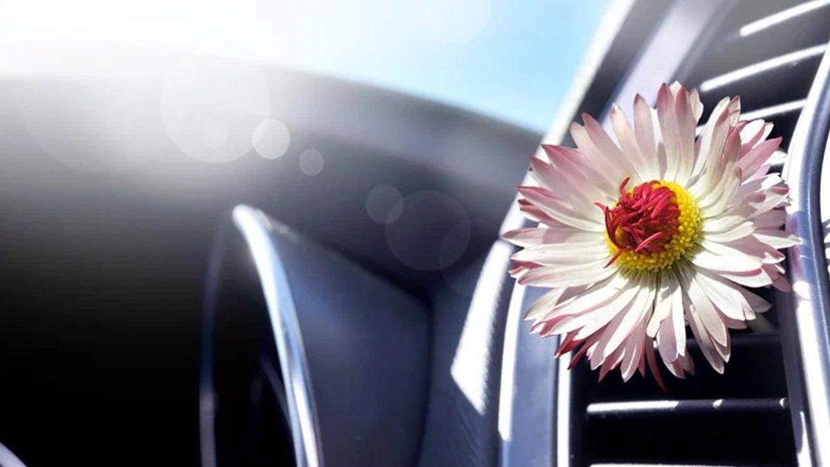 Sıcak Havalarda Arabada Plastik Kokusunun Daha Belirgin Olmasının Sebeplerini ve Nasıl Kurtulacağınızı Açıklıyoruz