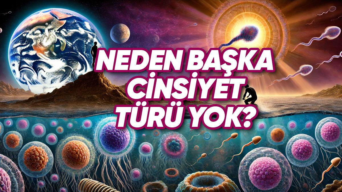 Canlıların Çoğu Neden Bir Erkek Bir Dişi Olacak Şekilde Evrimleşti?