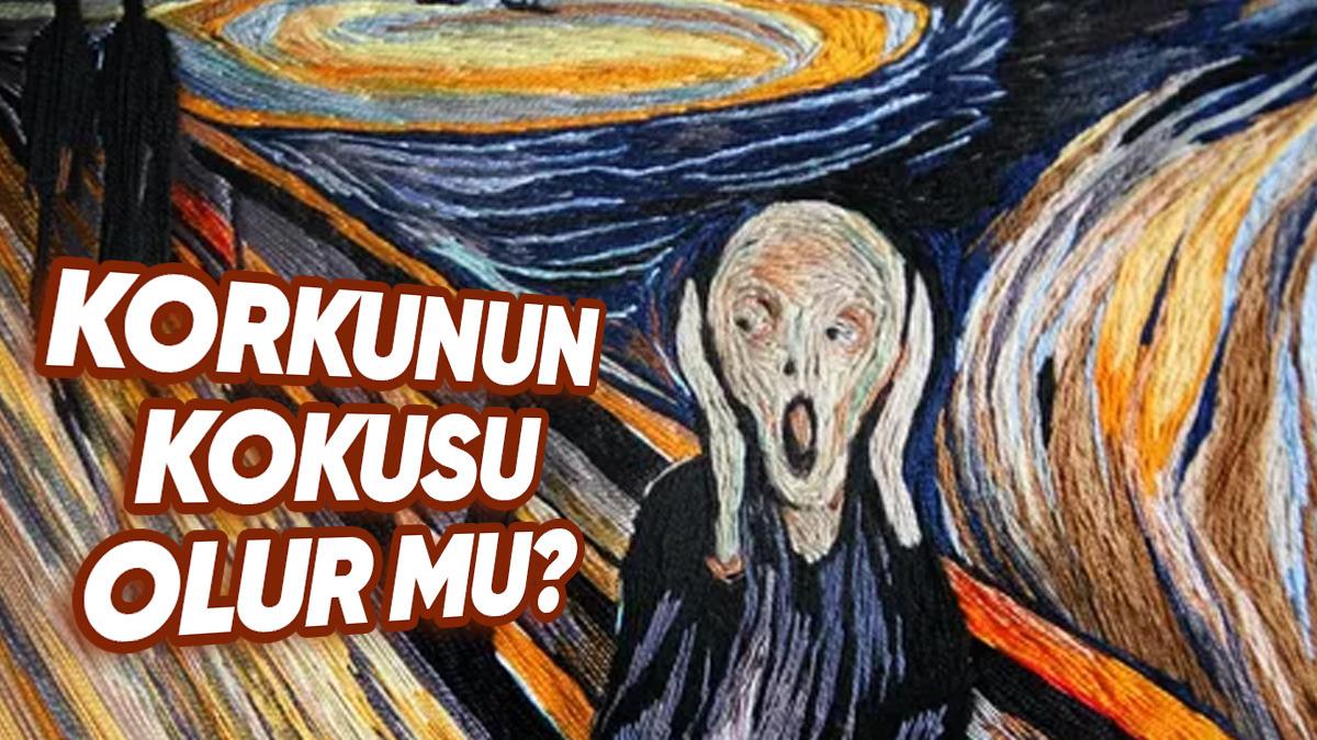 Farkında Olmadan Korkunun Kokusunu Alıyor Olabilir miyiz? Araştırmalar Bu Soruyu Yanıtlıyor!