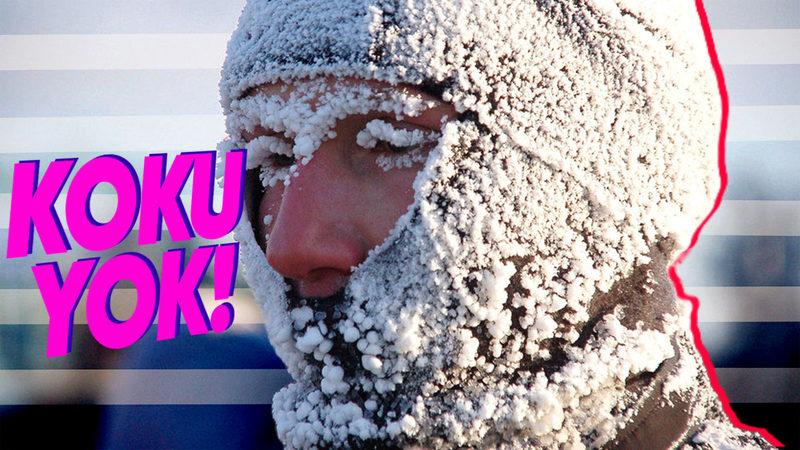 Bunu Okurken Havayı Koklamaya Çalışacaksınız: Kışın Neden Normalden Daha Az Koku Alıyoruz?