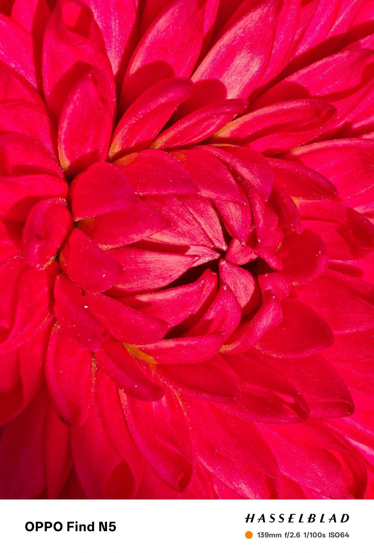 Dünyanın En İnce Katlanabilir Telefonu Oppo Find N5’in Kamerası Görücüye Çıktı: İşte Hayran Bırakan Fotoğraflar!