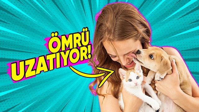 Öğrenince Hemen Bir Hayvan Sahiplenmek İsteyeceksiniz: Bilime Göre Hayvanlar, Zihinsel ve Fiziksel Sağlığımız Nasıl Etkiliyor?