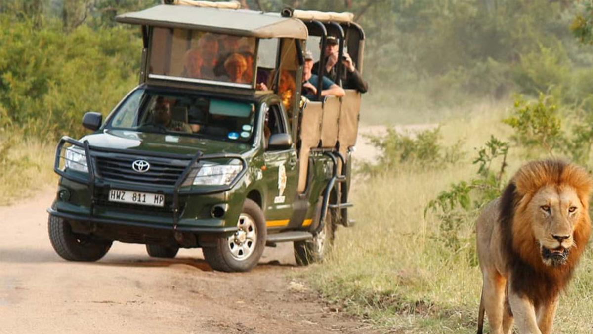 Steve Jobs Hiç Aklında Bile Yokken Apple Tarayıcısına Neden 